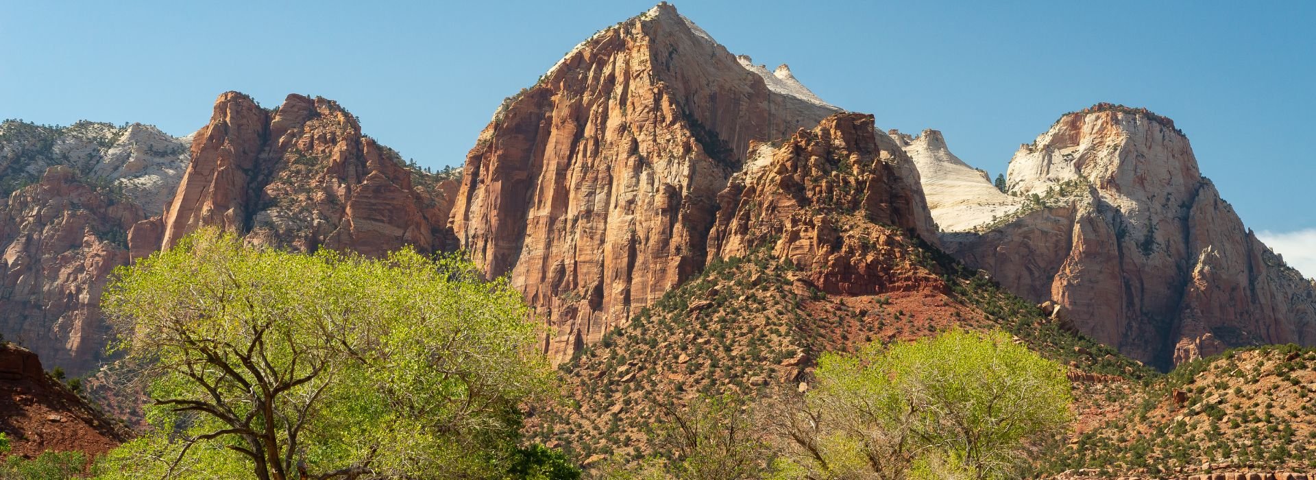 Panorama di montagna in estate