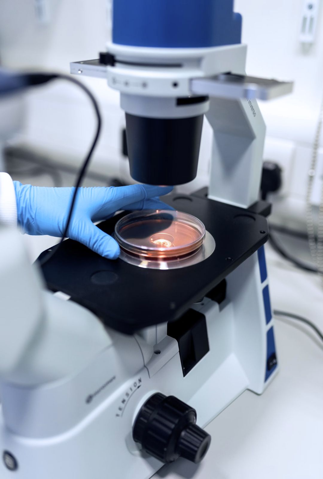 In un laboratorio, un chimico esamina una sostanza chimica al microscopio