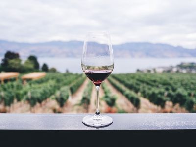 Calice di vino rosso in primo piano, con filari di vite che si estendono sullo sfondo