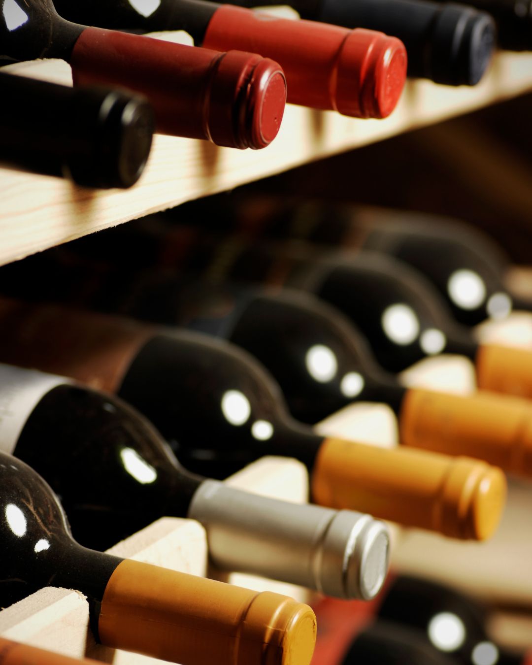 Espositore di una cantina con una selezione di vini rossi disposti ordinatamente