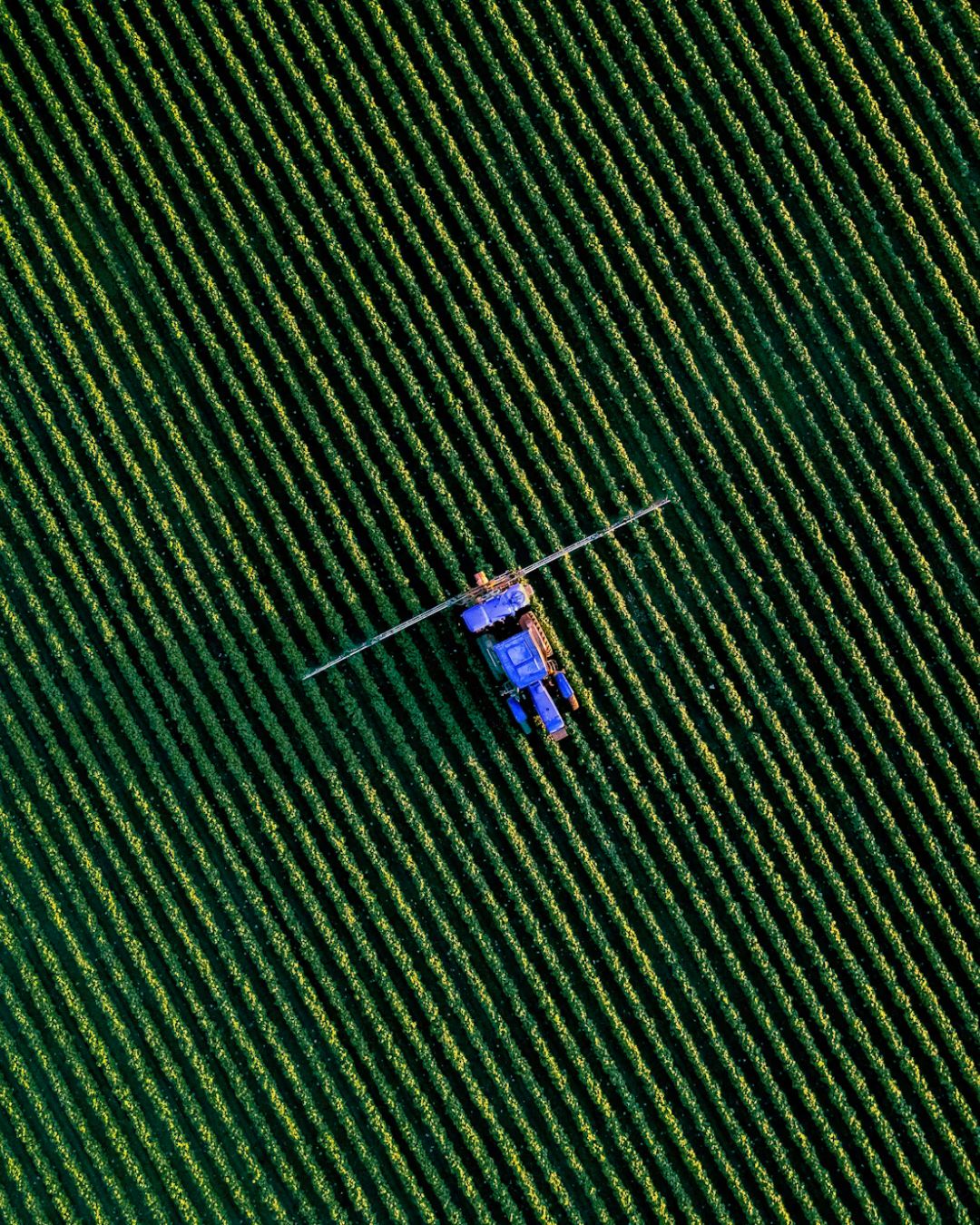 Vista aerea di un campo verde su cui un trattore sta lavorando