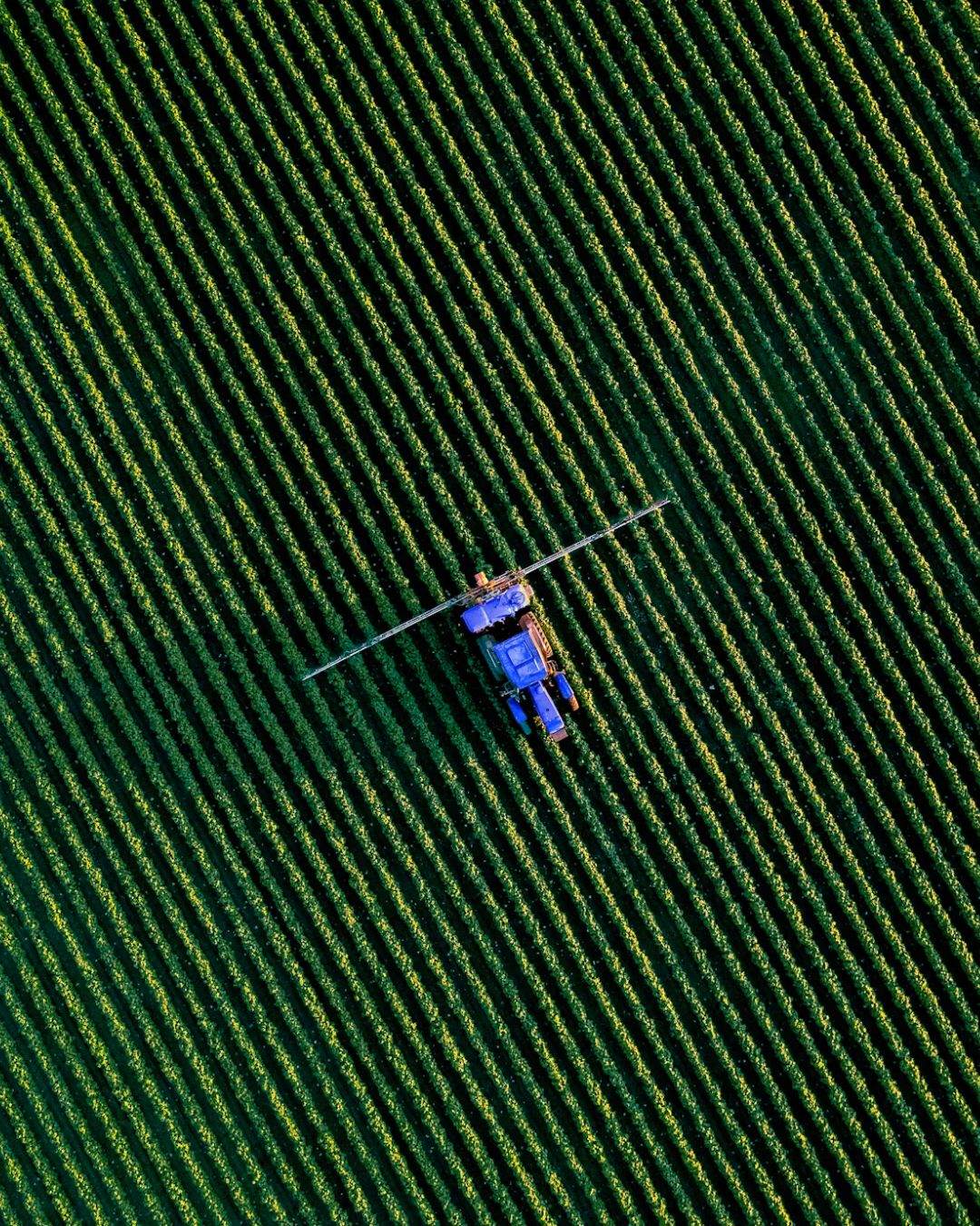Vista aerea di un campo verde su cui un trattore sta lavorando