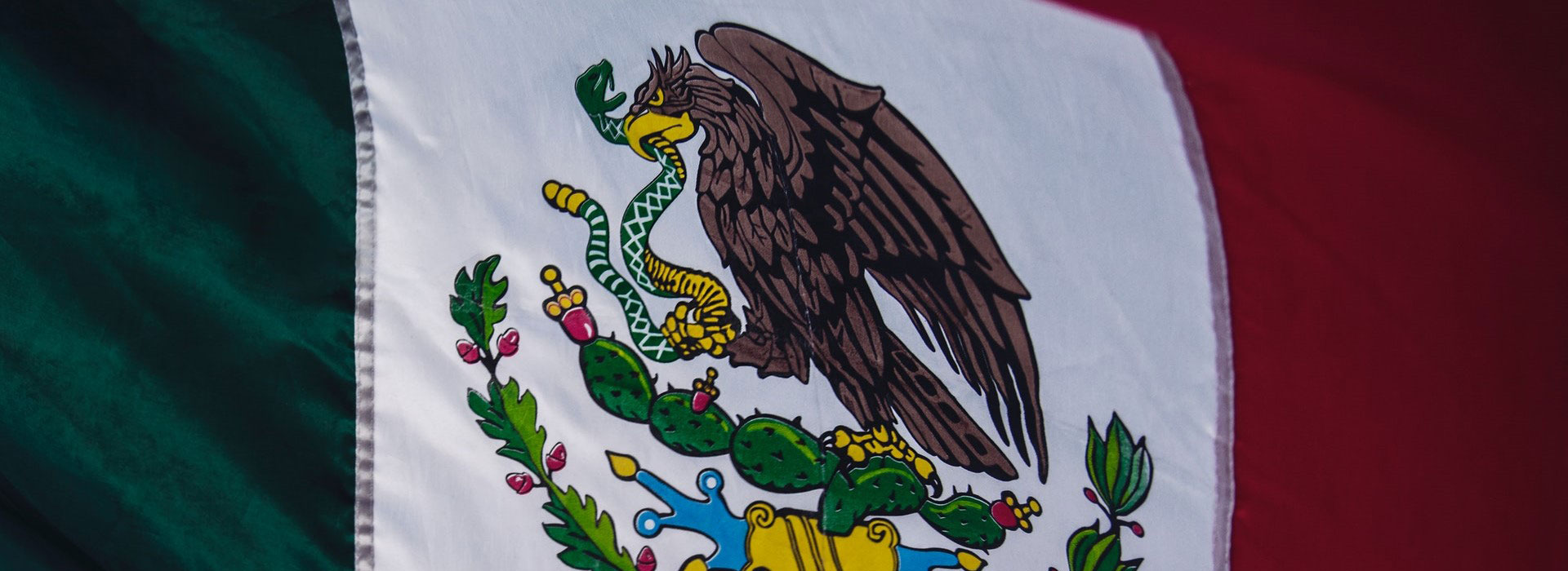 Messico: Il progetto di bilancio è una pericolosa azione di pareggio 