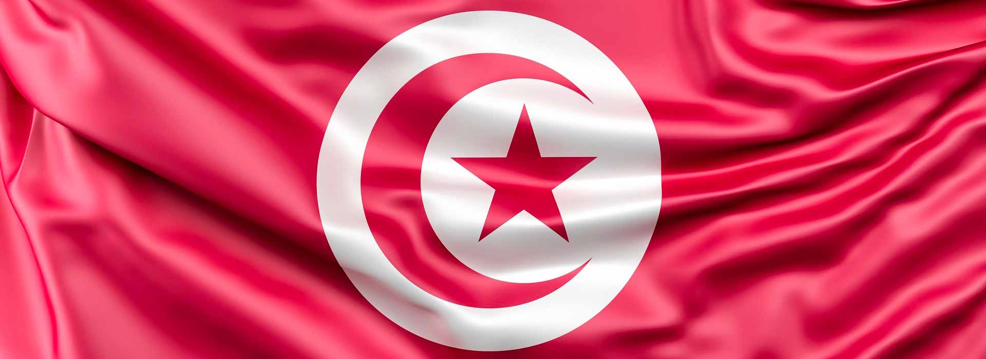 Tunisia decennio perduto