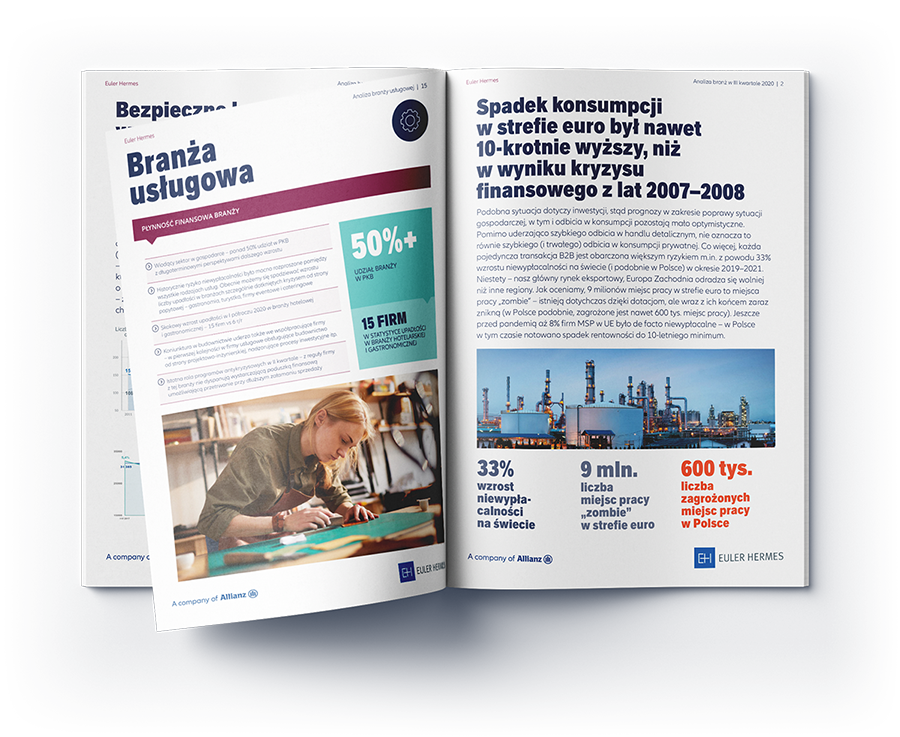 Analiza Branż Euler Hermes