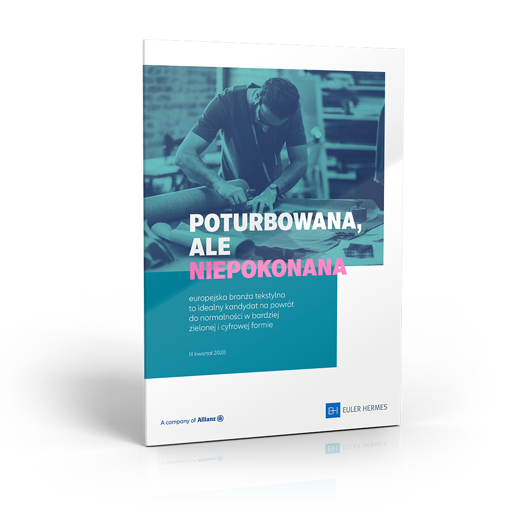 Analiza Euler Hermes