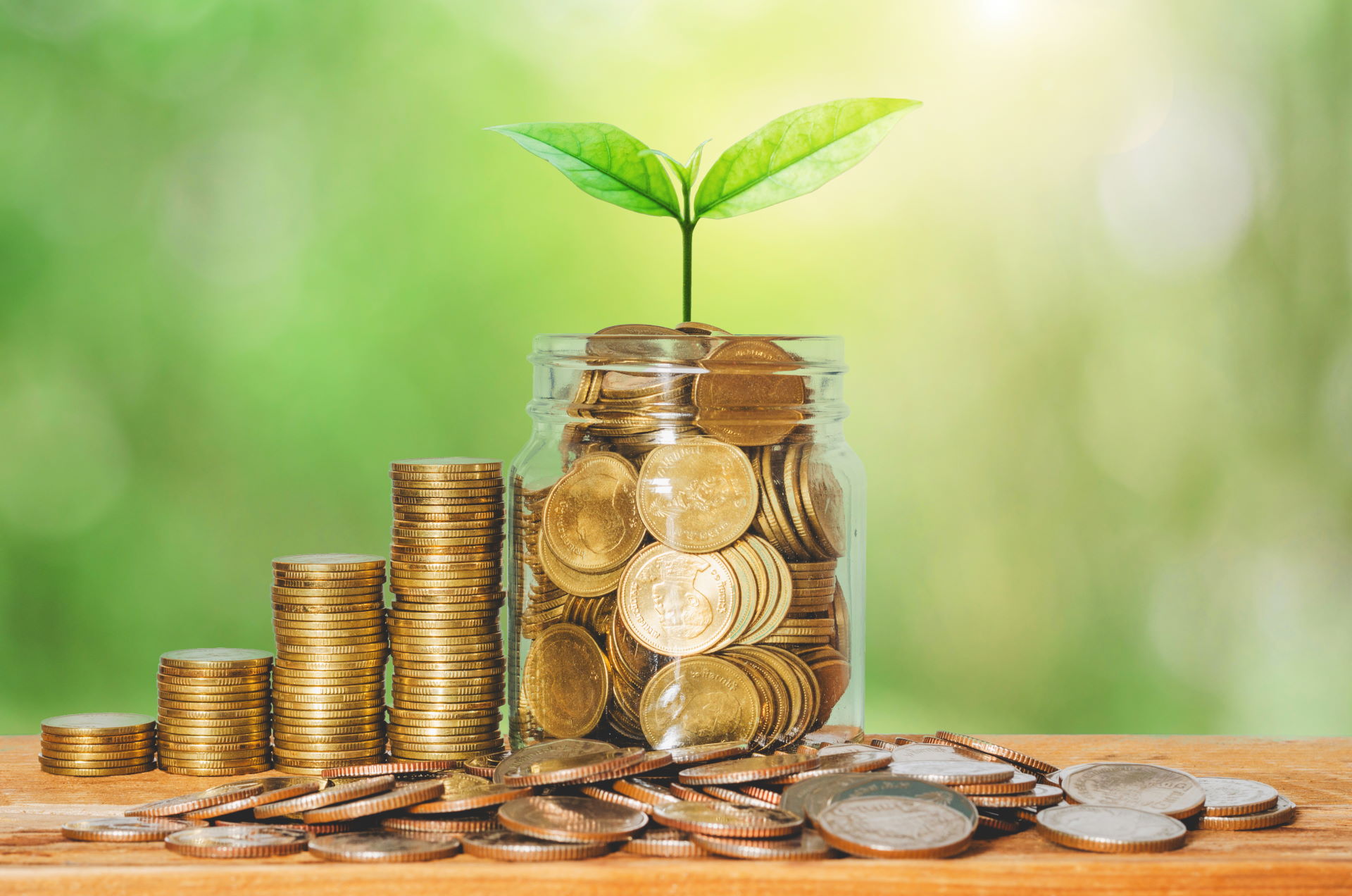 Pieniądze i wzrost roślin w przezroczystym słoiku