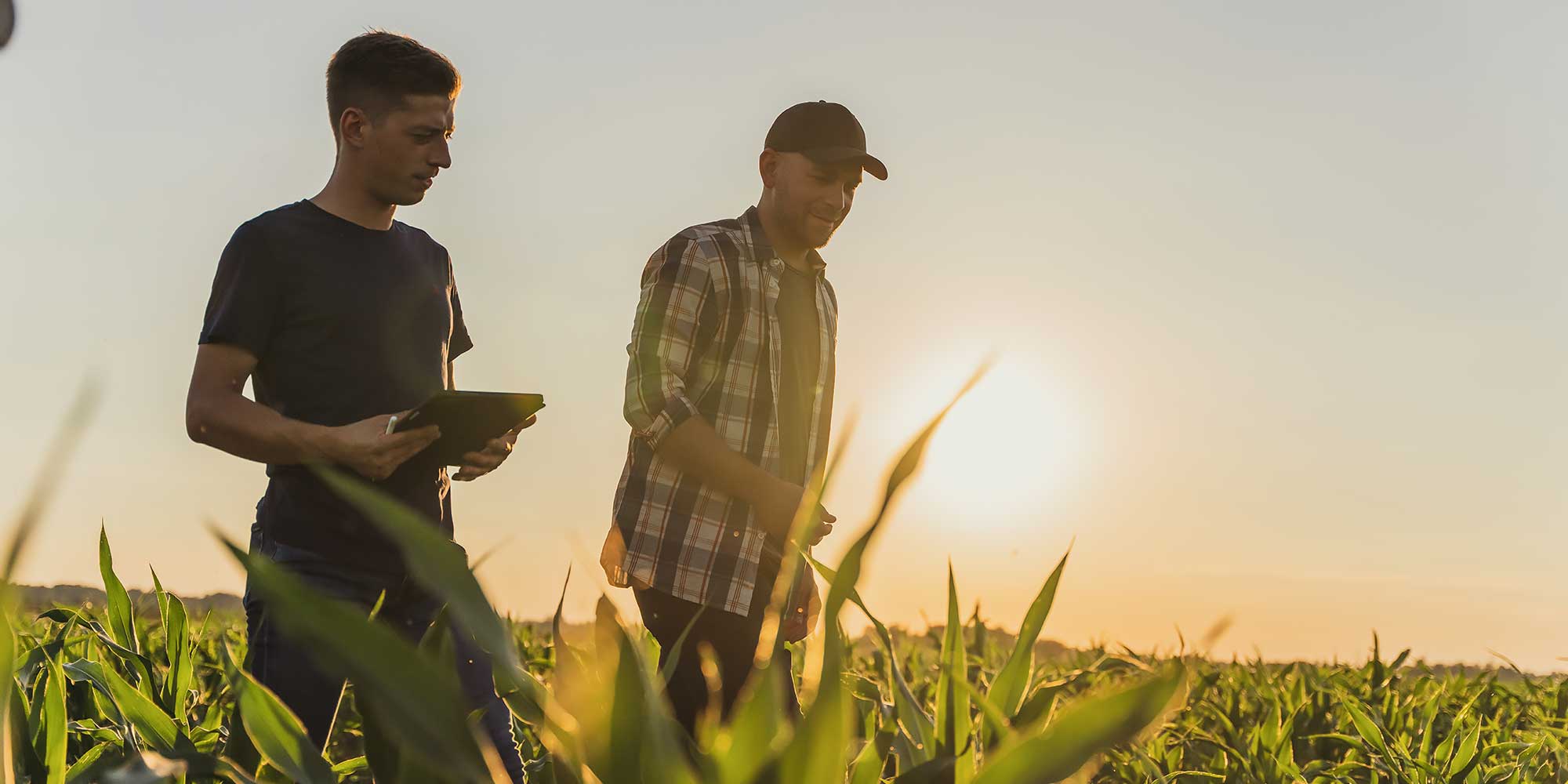 Dwoje mężczyzn spaceruje po polu rolniczym