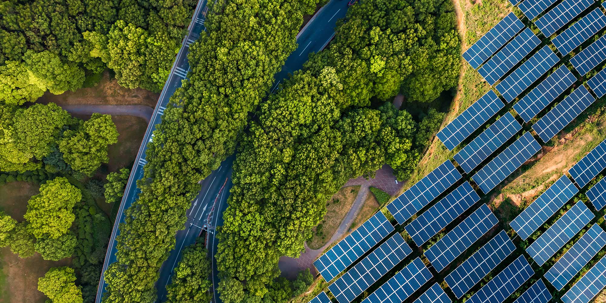 Widok z lotu ptaka na panele solarne i roślinność