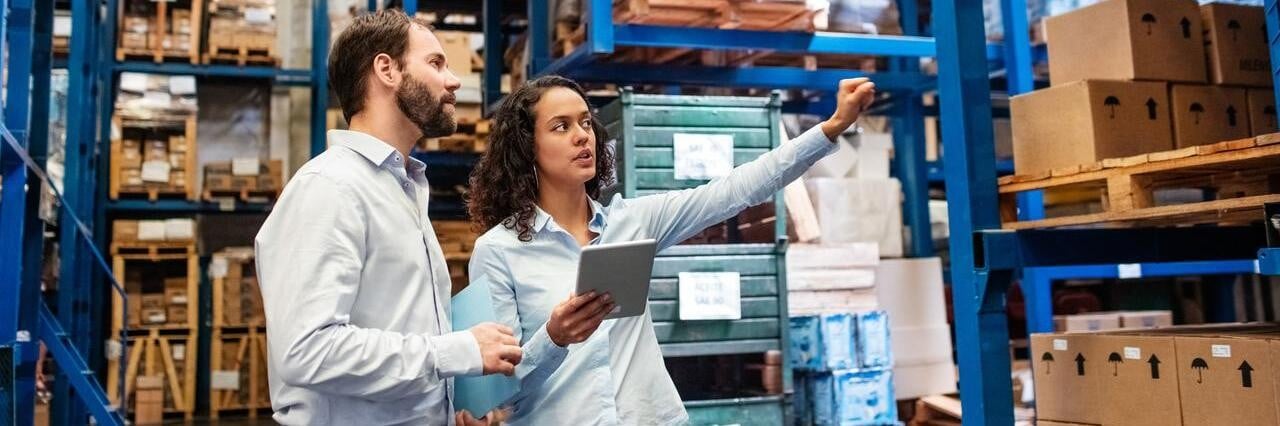 O que é Seguro Garantia Performance, ou Performance Bonds?