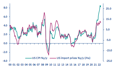 Figura 4: Preços de importação dos EUA e inflação (%a/a)
