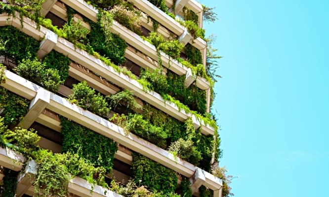 Relatório de Sustantabilidade