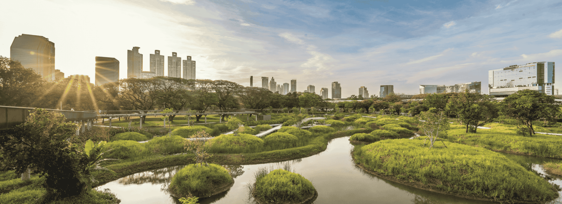 Vista de cidade com zonas verdes e sol