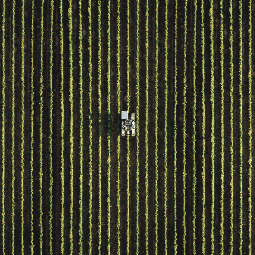 setor agroalimentar campo agricola