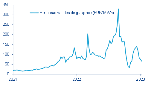 Evoluția inflației totale și de bază 