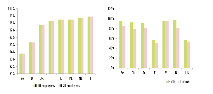 Figure 3 – Weight of SMEs by type of company and country - construction of buildings