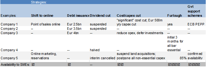 Figure 11  –Overview of Covid-19 crisis coping strategies