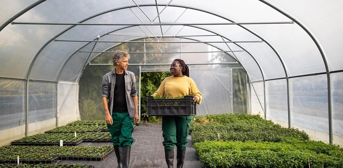 Kender du dine kunders kreditværdighed?