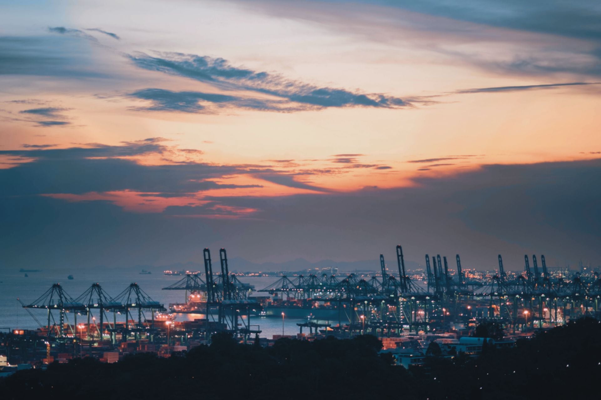 allianz trade küresel anket 2025