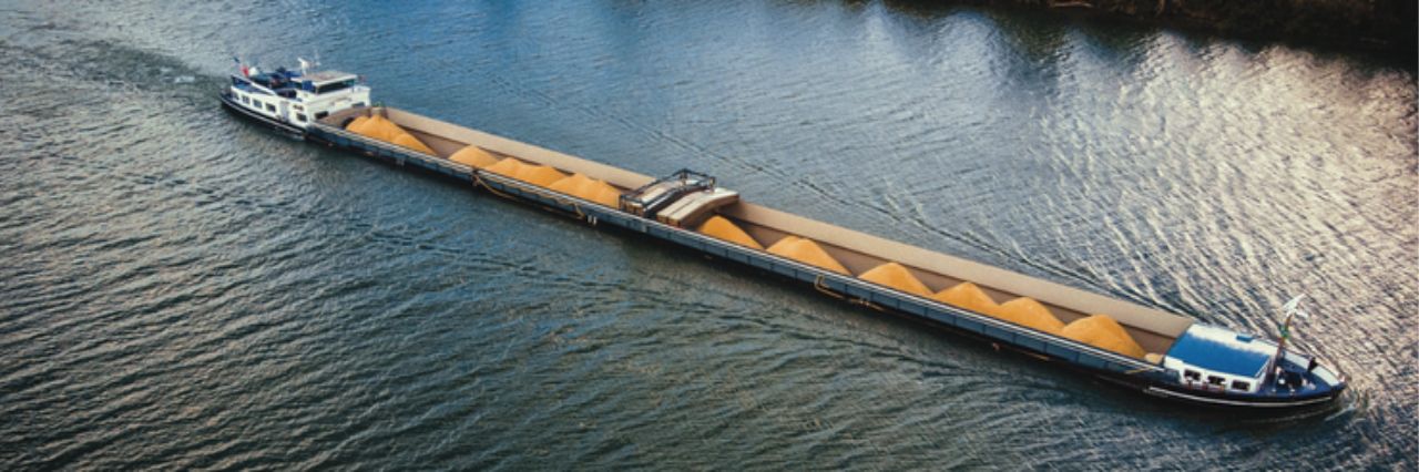 allianz trade ekonomik belirsizlik