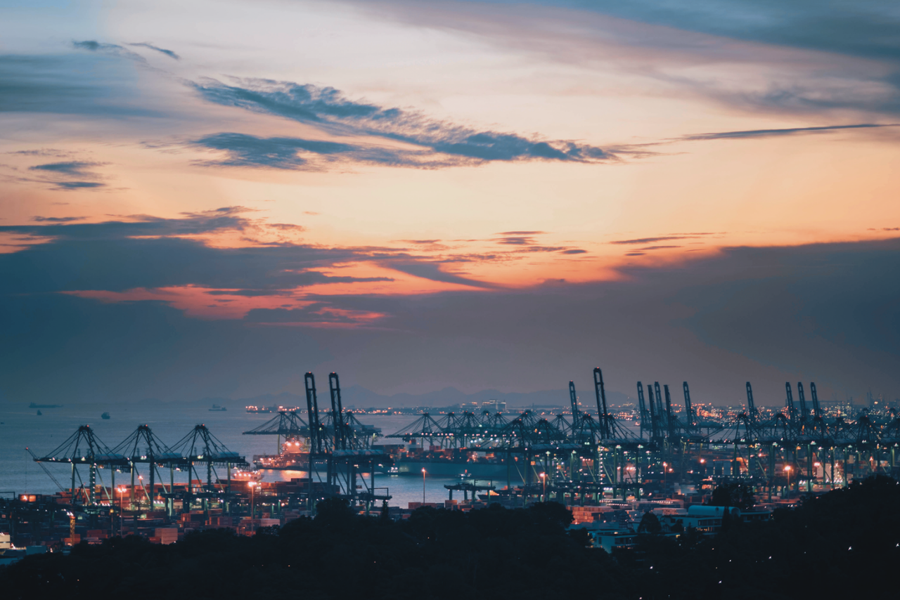 allianz trade küresel anket 2025