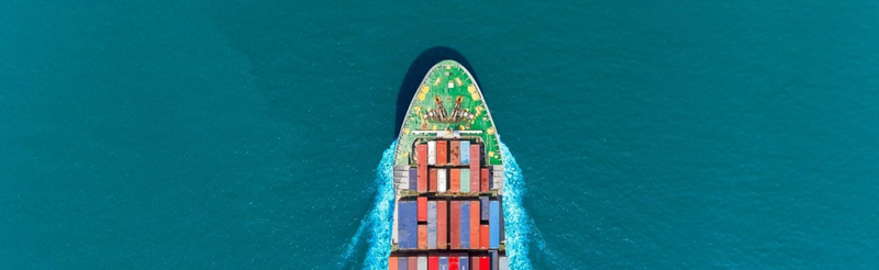 sektör atlası 2025 allianz trade