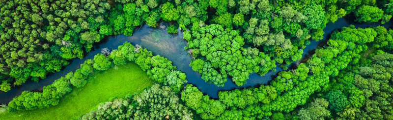 Allianz Trade Ecovadis